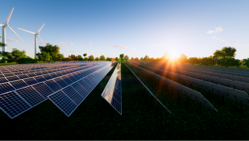 Why You Need to Make Your Business More Sustainable Post-Pandemic?