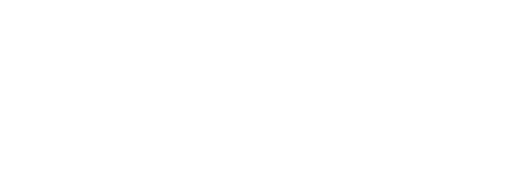 ceva logo