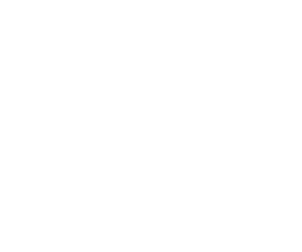 6 Sürat Kargo