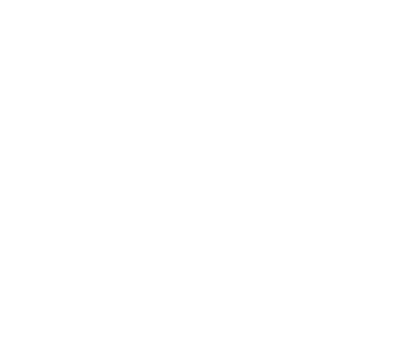 Carrefour logo — TIM customer