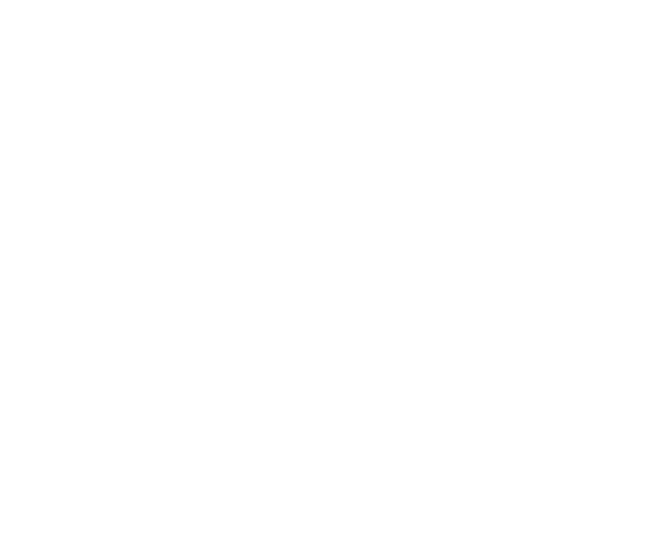 Renault logo — TIM customer